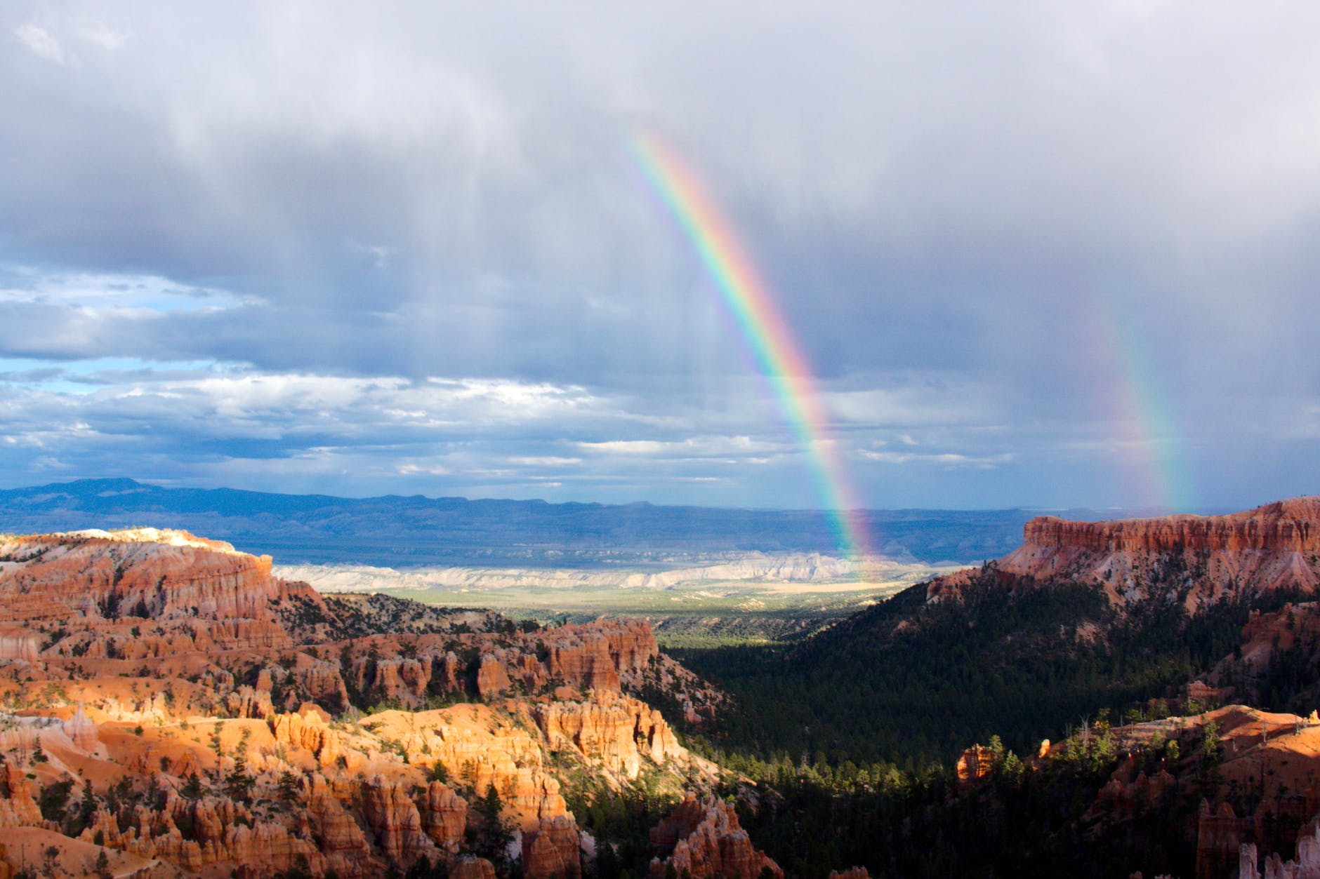 The Reason for Rainbows