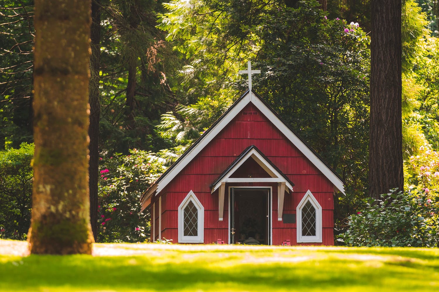 Our Place in the Church